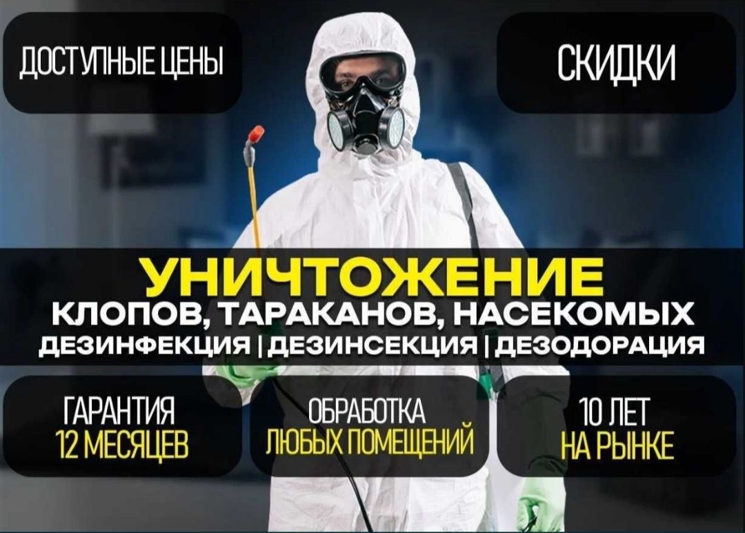 Дезинфекция от клопов тараканов крыс мышей скорпионов ос мух блох