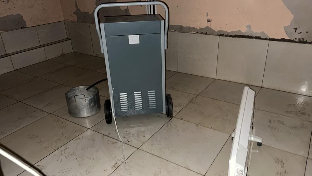 Сдам в аренду осушители воздуха