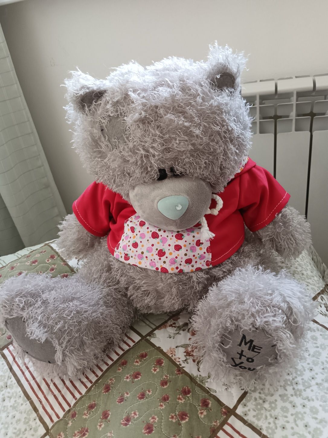 Мишка тедди, Teddy