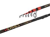 Bologneza Xerxes TeleFloat 4,20 M / 30 gr. - Delphin