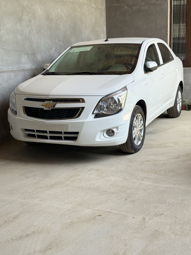 Cobalt Stayl GX-PLUS 4-Pozitsiya 2025