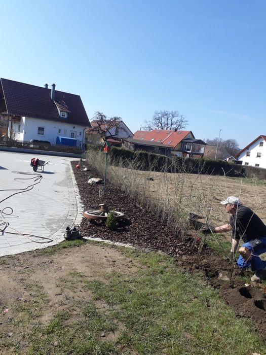 Gard Viu / Veșnic Verde