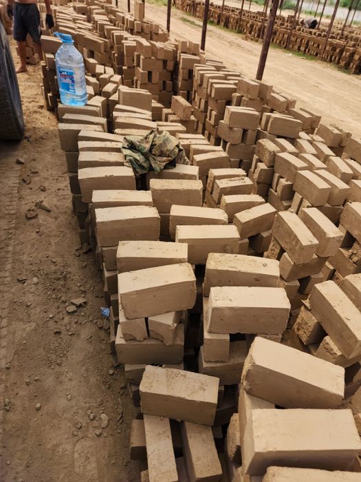 Hom gish va pishgan gish