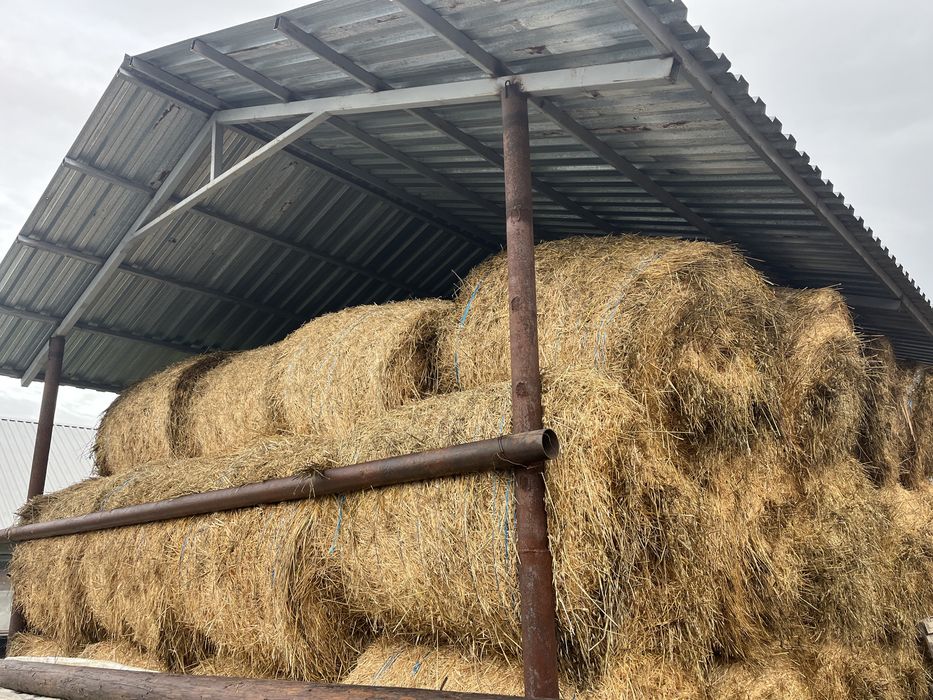 Vând Baloți Rotunzi de Lucernă, Calitate bună