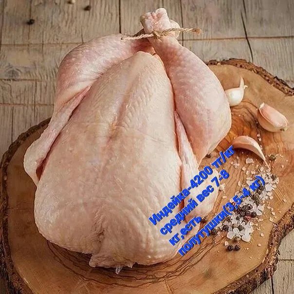 Продам домашнюю индейку.Каспий ред!