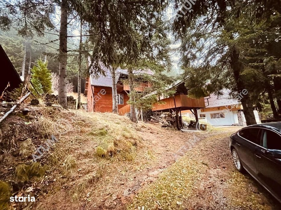 Casa de vacanta\/Cabana cu 8 camere de vanzare in Paltinis