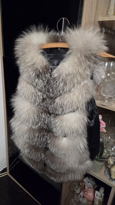 Vesta vulpe argintie