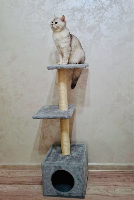 Ansamblu,casuta pentru pisici