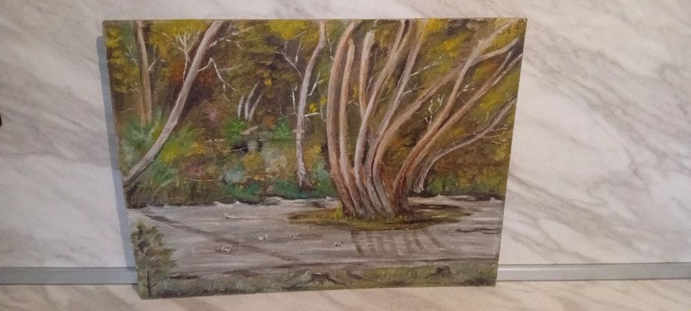 Стари картини с маслени бой.