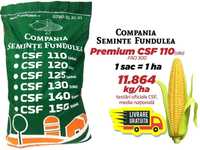 Samanta porumb Premium CSF 110, seminte porumb Fundulea