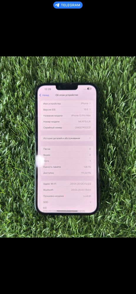 Iphone 13 pro max