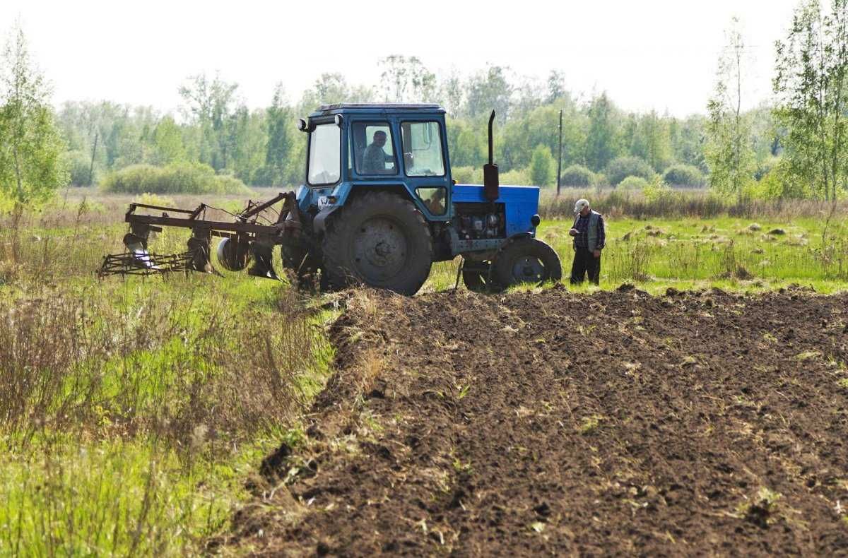 Вспашка Огорода Земли Загородного Дачного Участка Трактором с Плугом