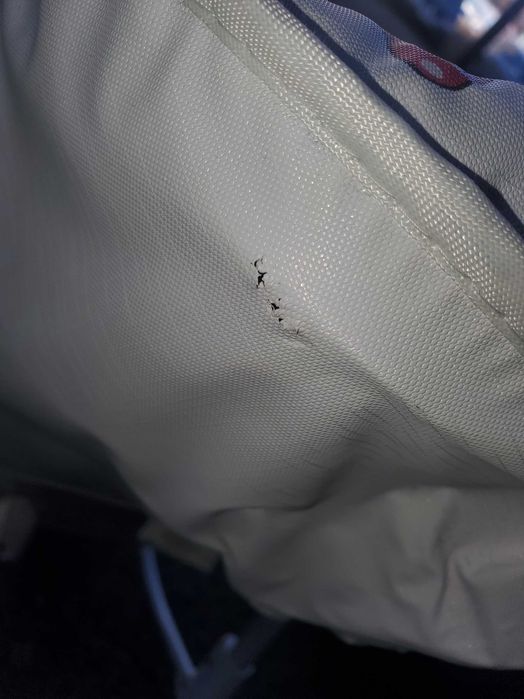 Стол за хранене Лорели