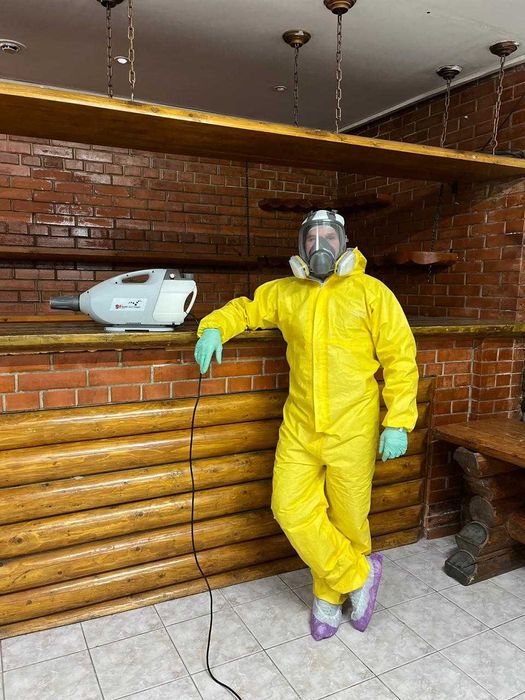 Дезинсекция насекомых. Уничтожение тараканов, клопов, муравьёв, блох