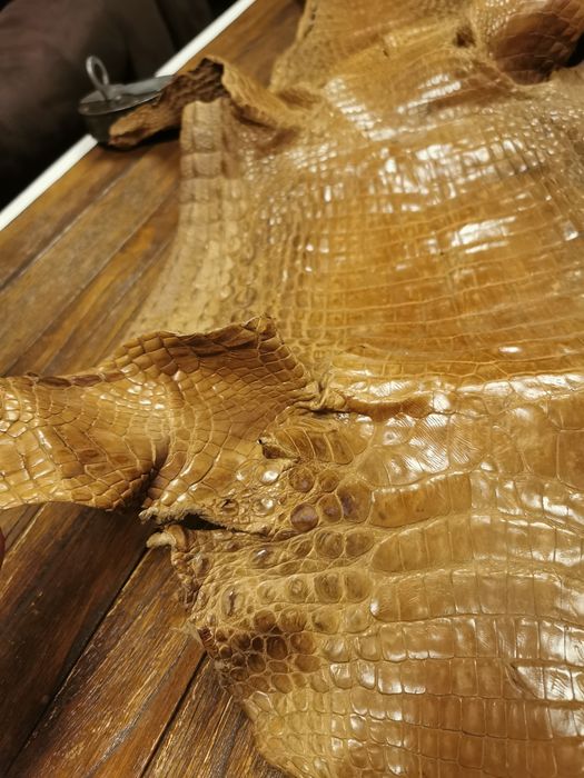 Обработена кожа 145 см.