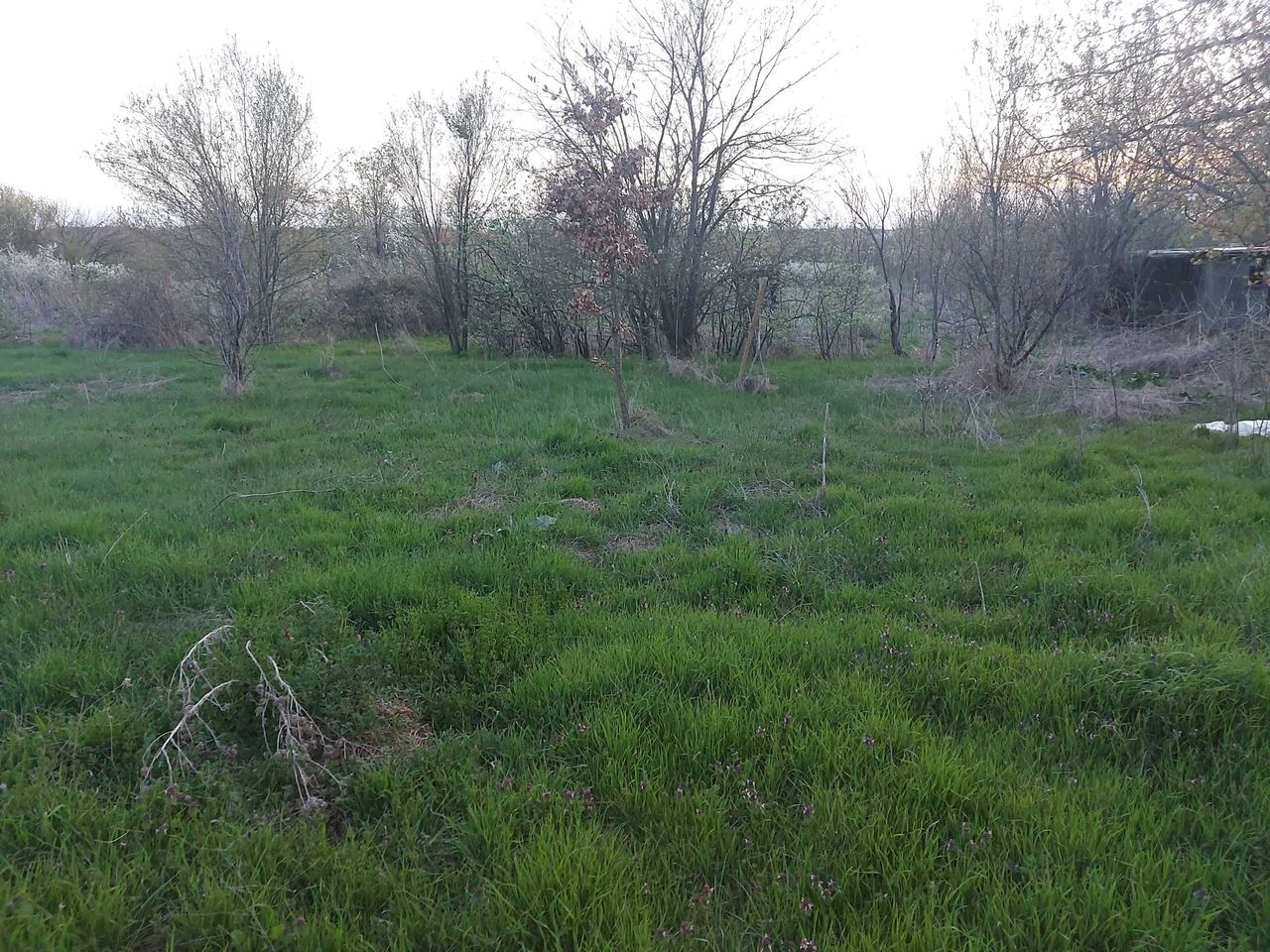 Продава се Парцел в с. Пъстрен, Област Стара Загора - 1414 кв.м за 3 €/кв.м - Снимка #2