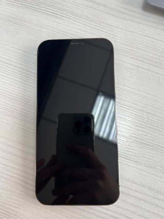 iPhone 12 Pro Max • 256 GB