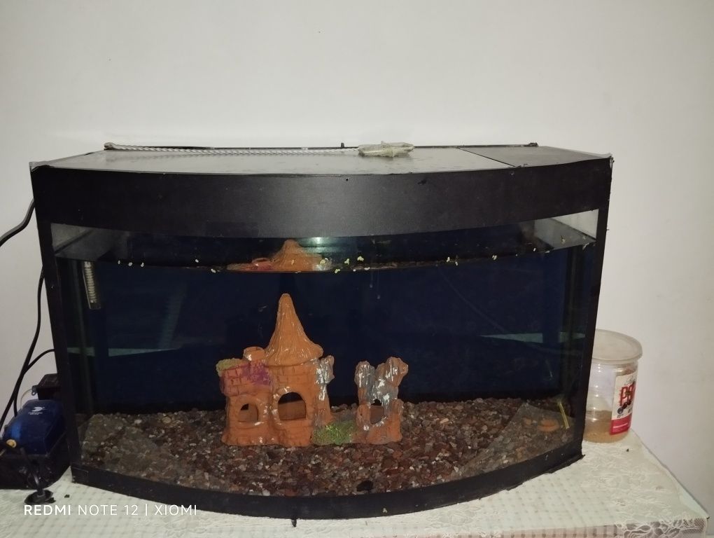 Akvariumlar sotiladi