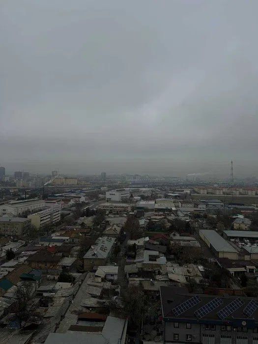 Фергана йули УзБум Новостройка жк OZ MAKON Golden House Коробка 36.4м2