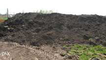 pamant negru vegetal