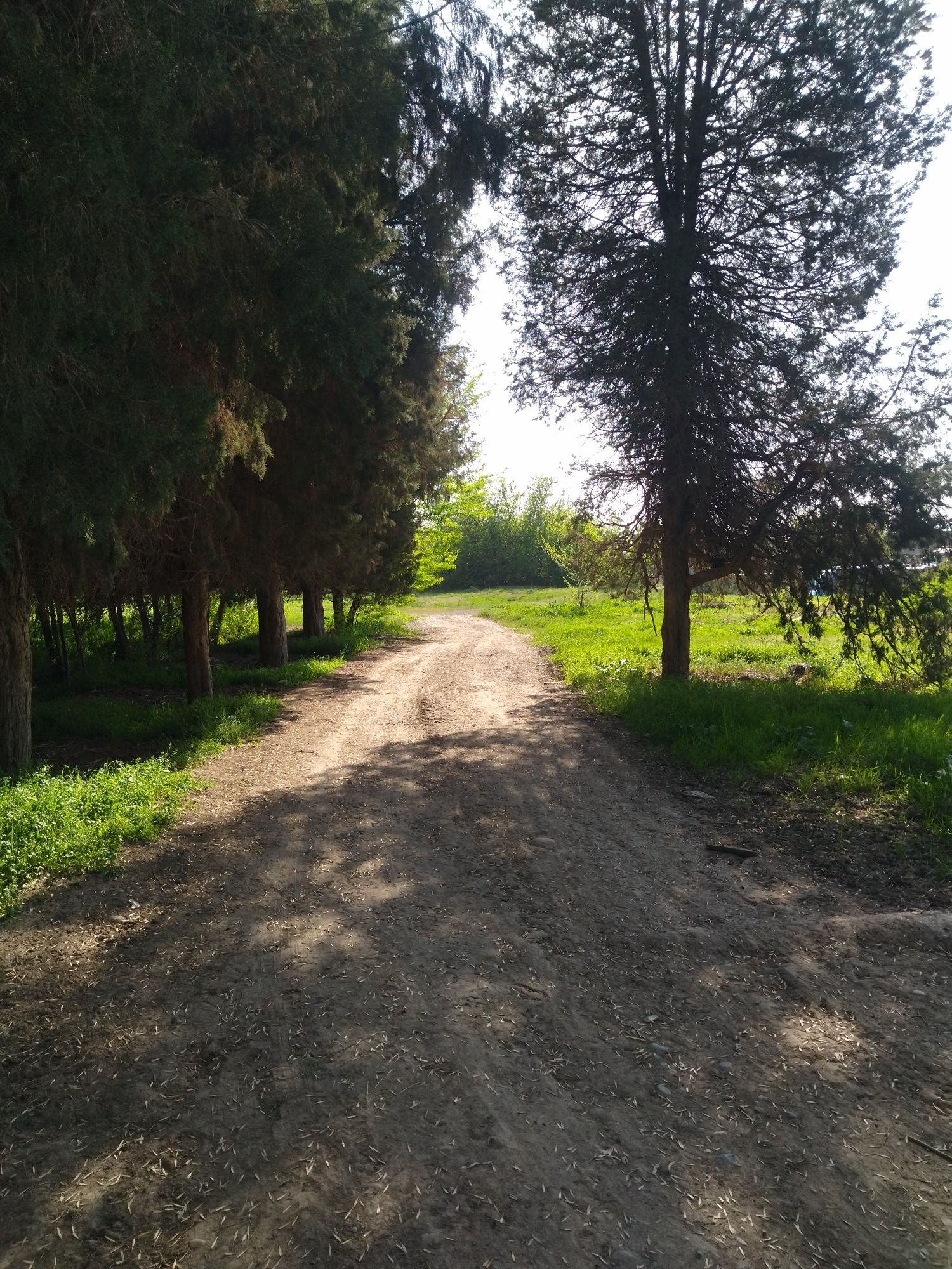 Srochna 3 sotix joy sotiladi futsitiyga 20 km