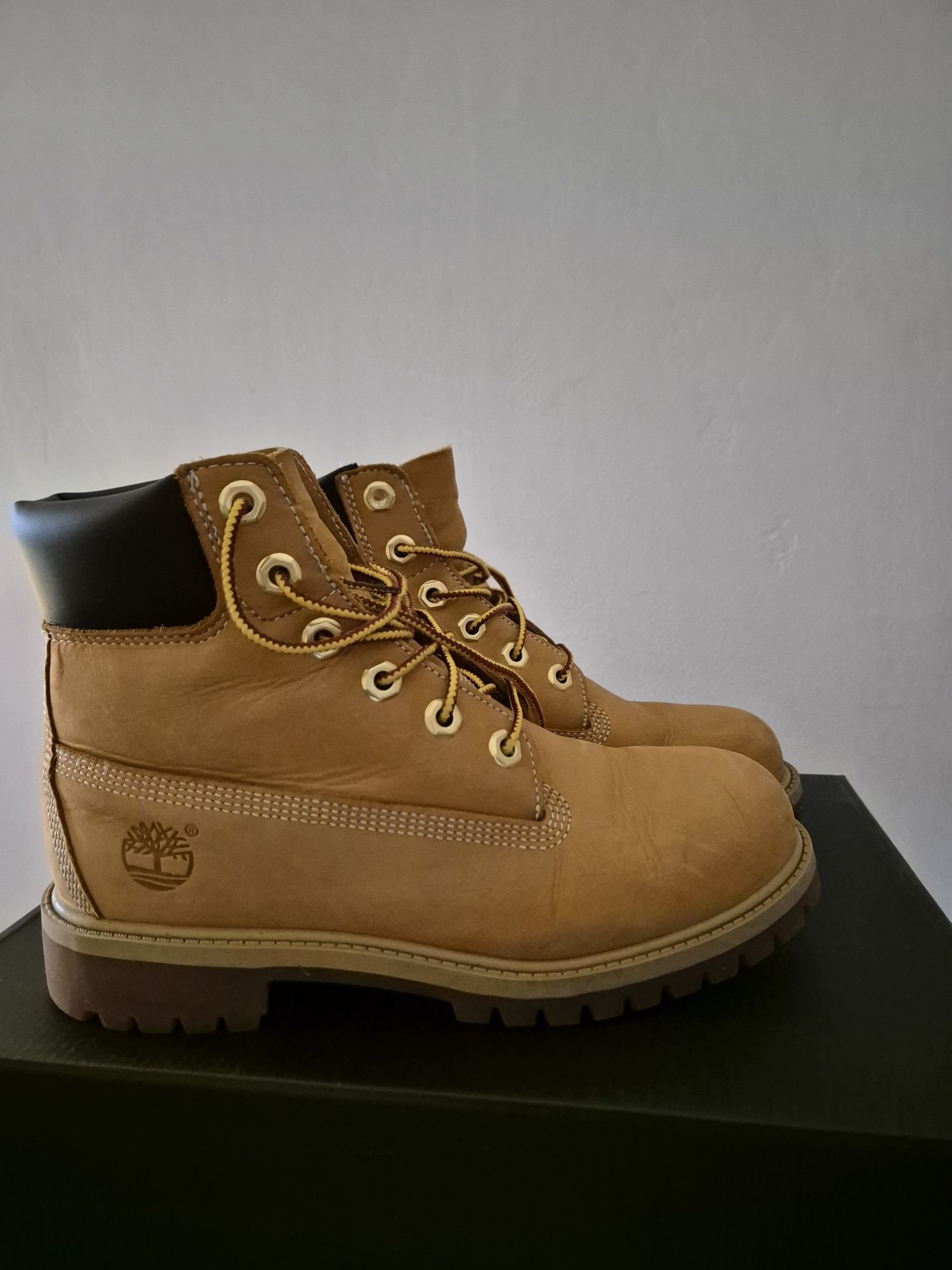 Bocanci Timberland