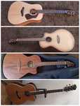 Chitara Electro Acustica Breedlove Fender Ibanez Cort R. King Takamine