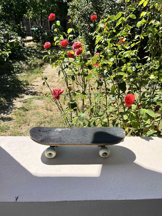 Skateboard copii RCO - 43 cm , roți PVC