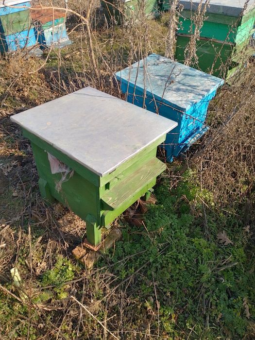 Пчелни празни кошери