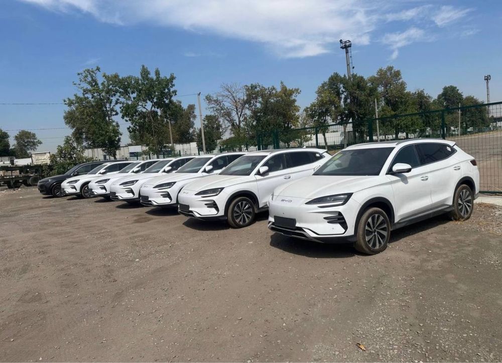 Byd chempion smart 605
