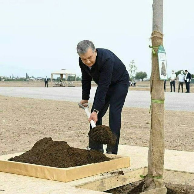 Калифорния кизил ёмгир чувалчанглари
