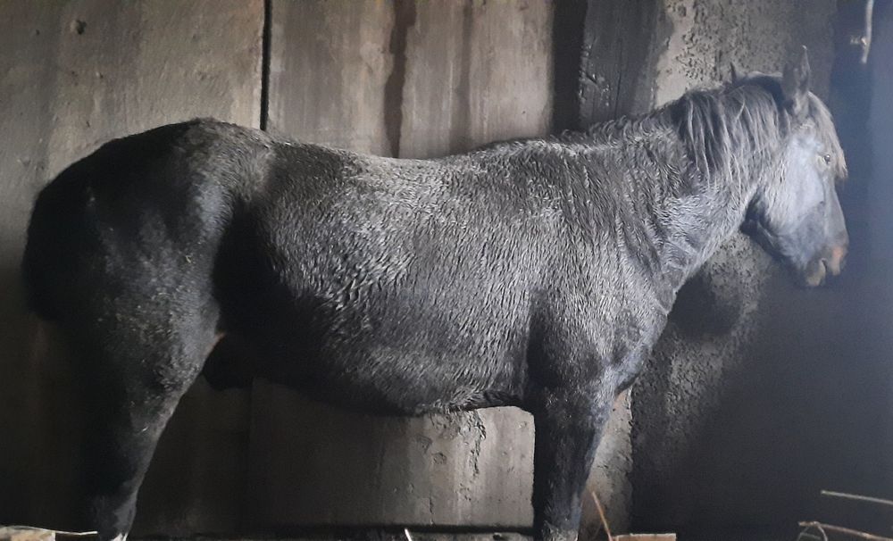 Срочно Продается!!!