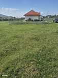 Teren intravilan 509 mp + proiect - livada cu visini Voila-Campina