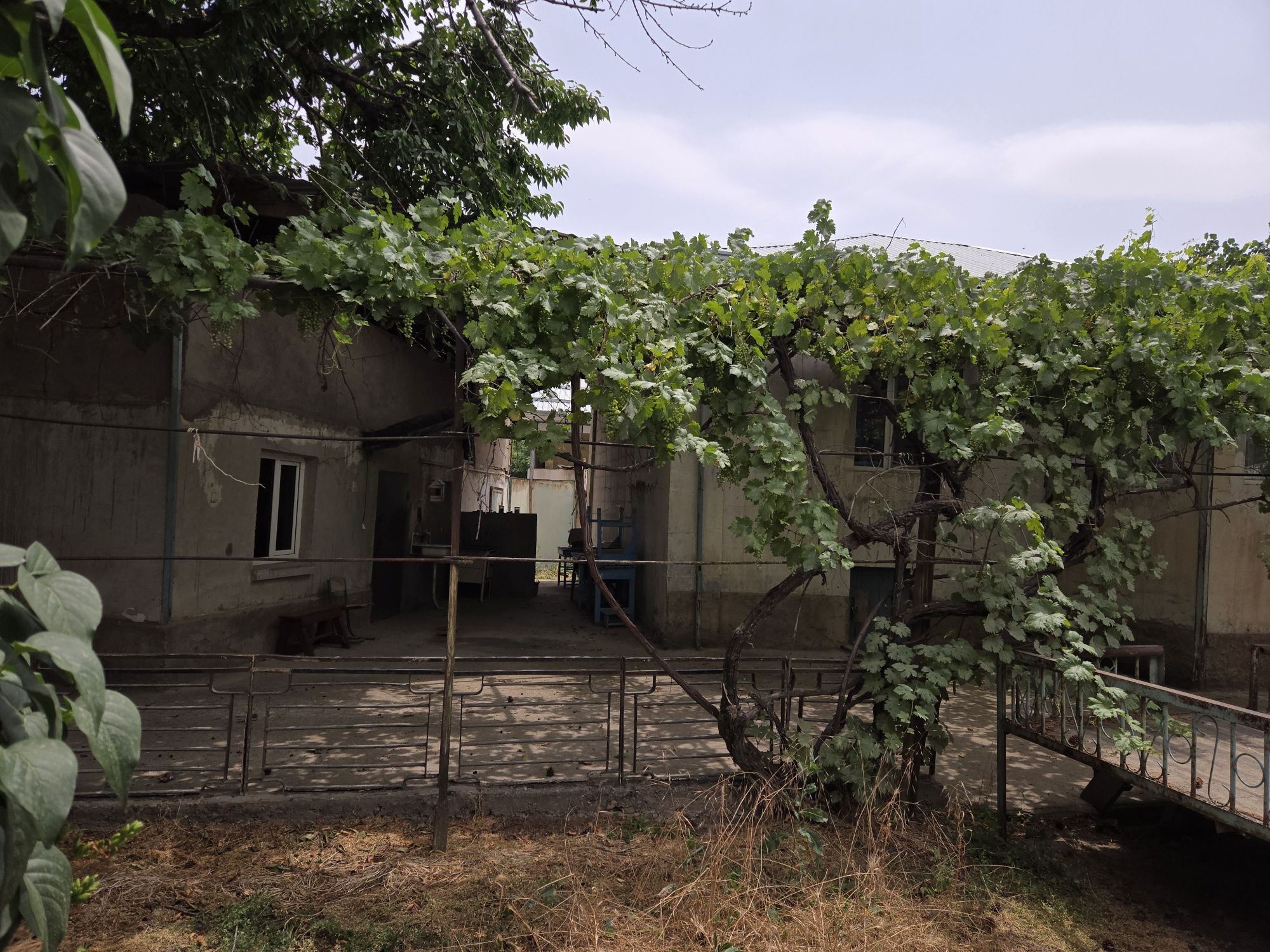 Дача  в азадбаше ташк обл