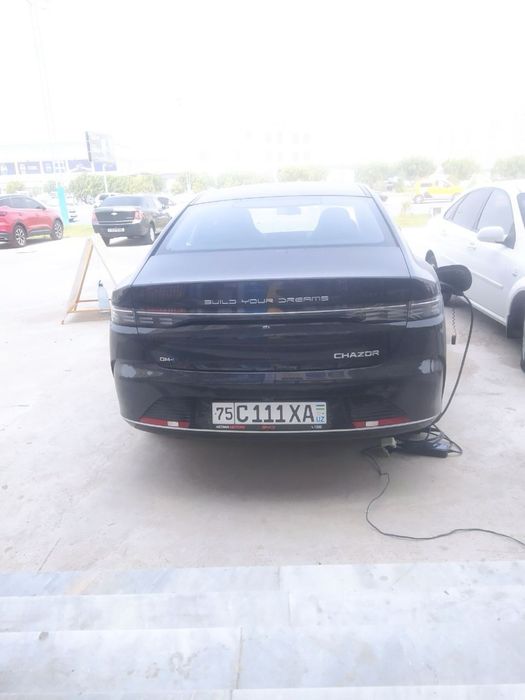 Byd chazor Черный Гибрид отличный состаяние