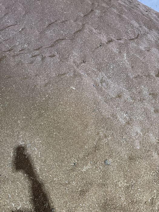 Legume si cereala de vanzare