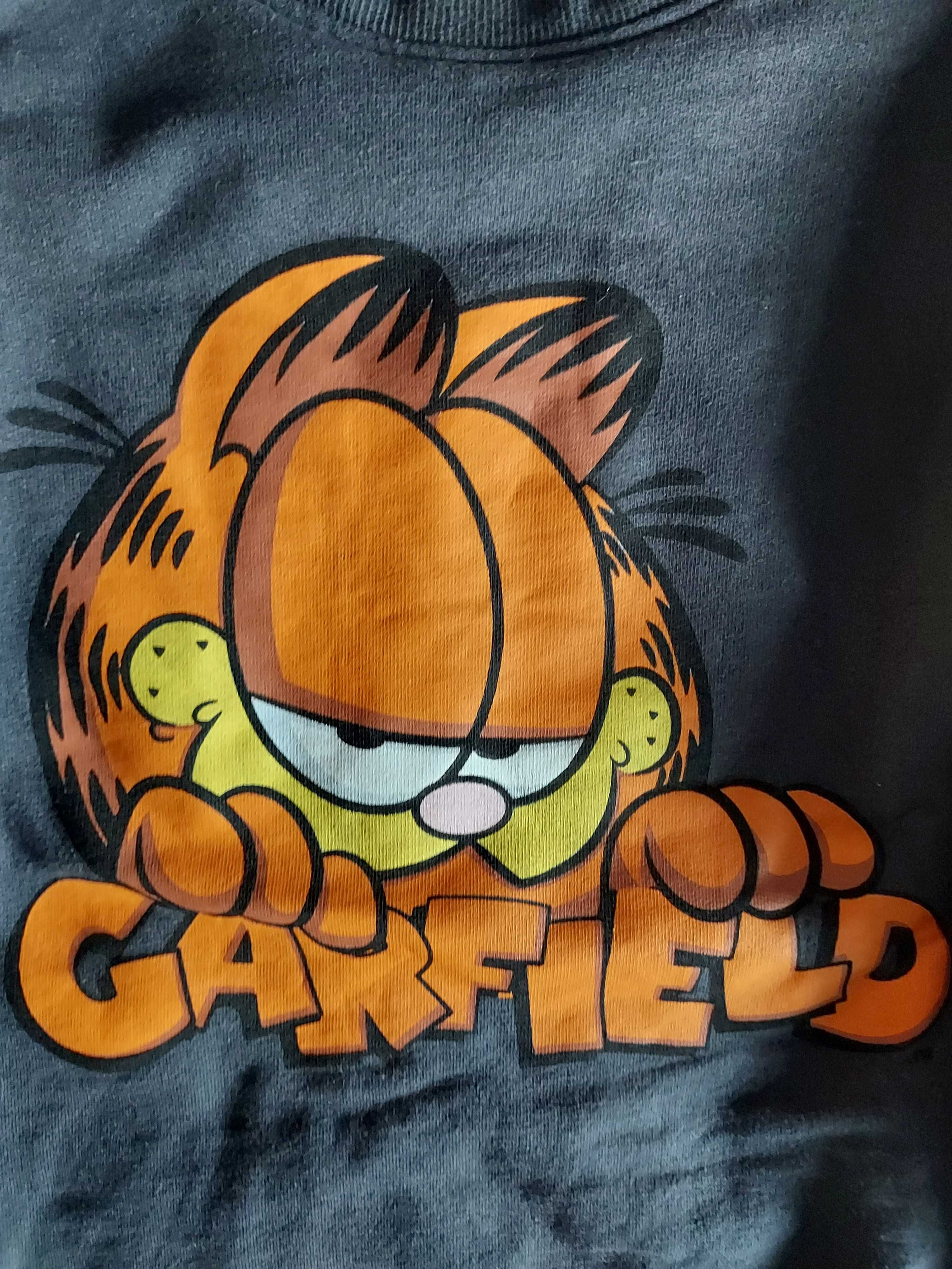 Bluza copii Garfield 134