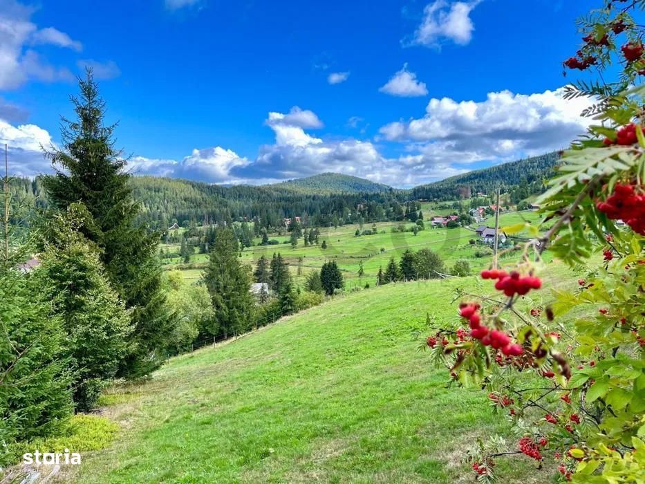 RECO Teren intravilan in Arieseni