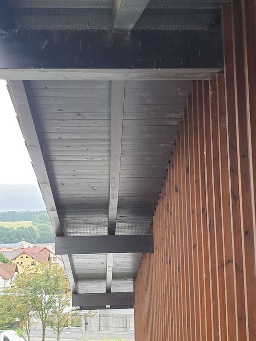 Plasă porumbei pasari