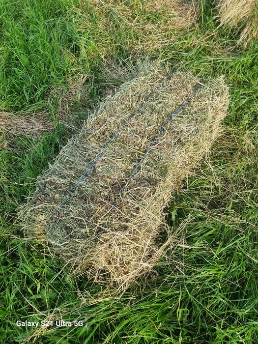 Vând baloti  relatii la telefon