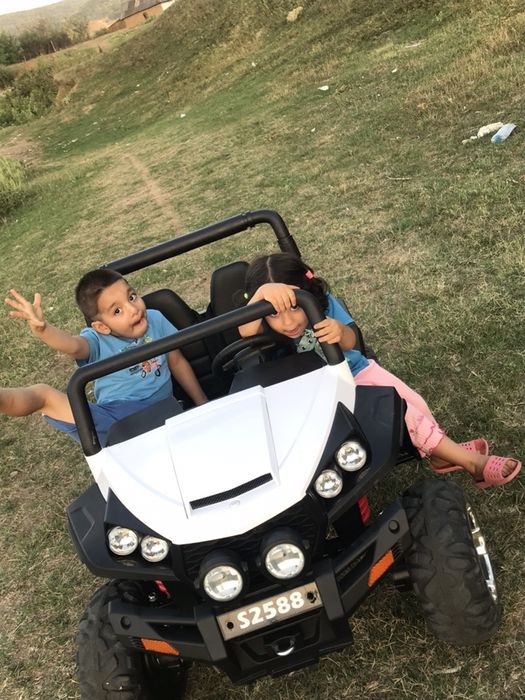 Buggy S2588.        ?!