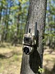 Camera vanatoare rotativa dual lens12MP 4G Live ForestvisionLiveC4Ultr