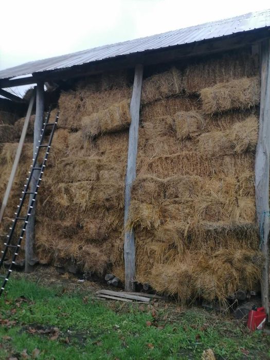 Baloti de fan,calitate foarte buna