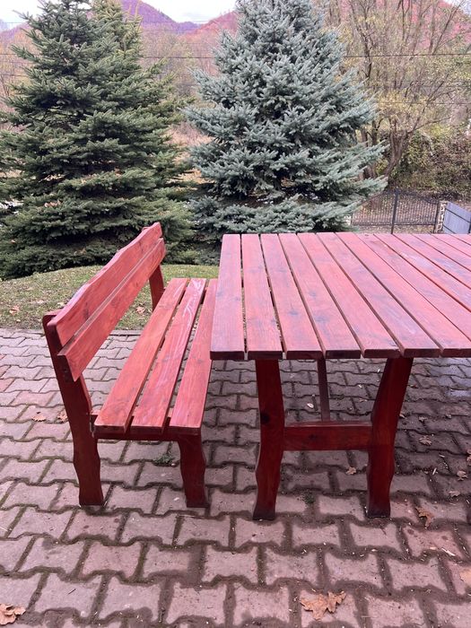 Set masa de gradina cu 2 banci.