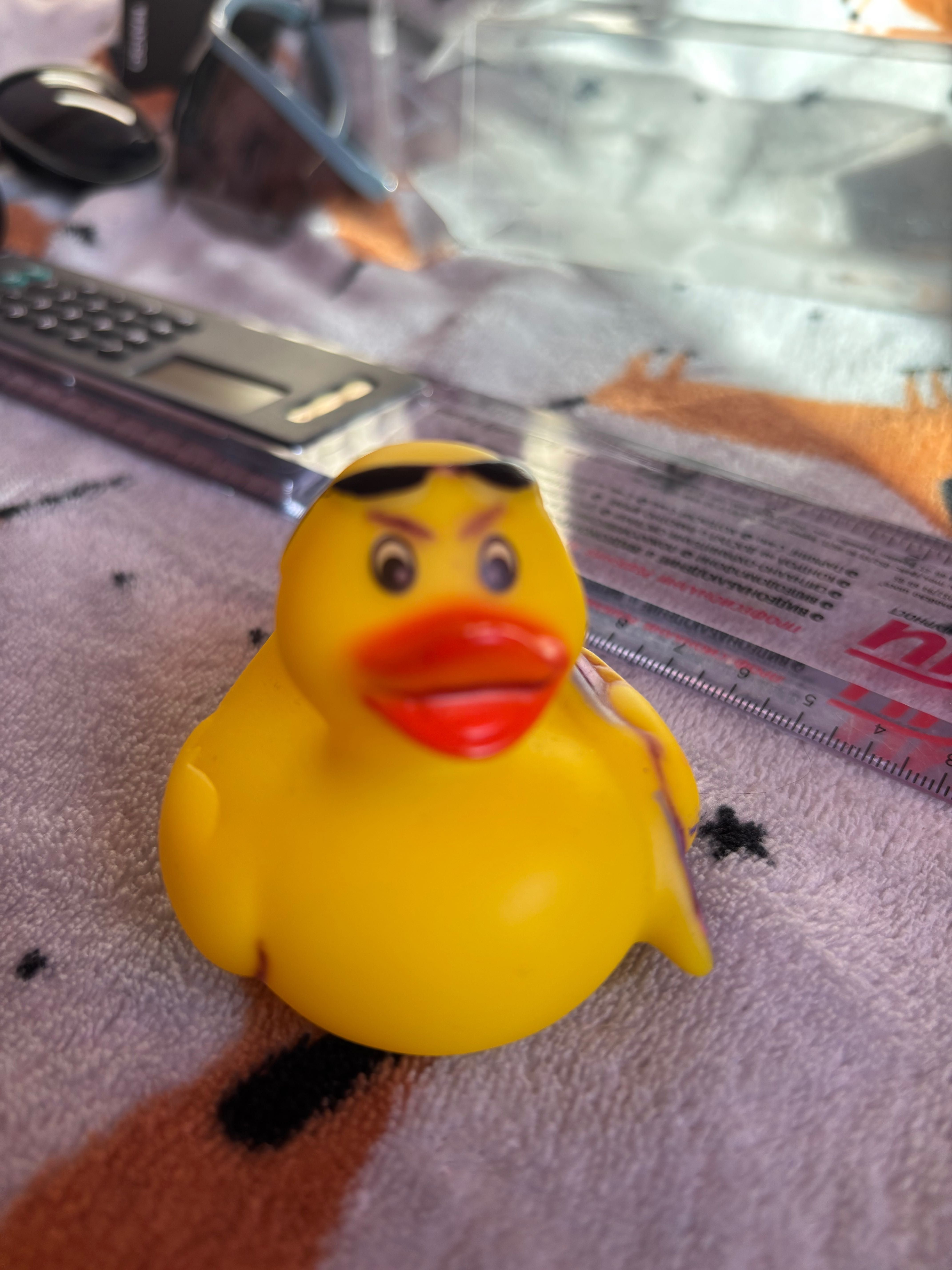 Гумено пате  Duckstore