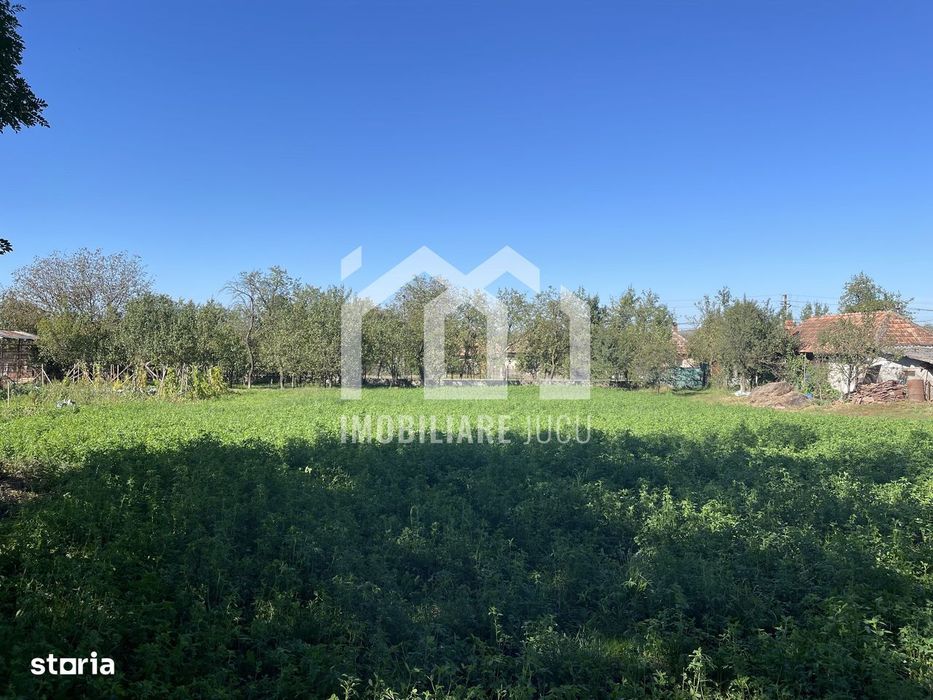 Teren Intravilan 1000mp - Jucu de Sus