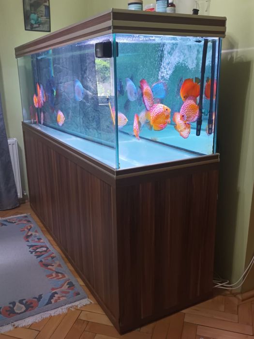 Vand acvariu Aquatlantis