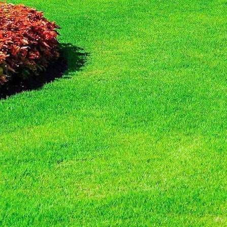 Почистване на дворове и тавани