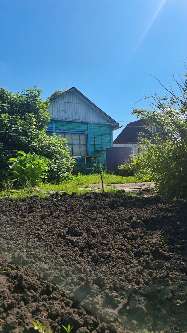 Продам ухоженную дачу в дачном обществе,,Борки,,