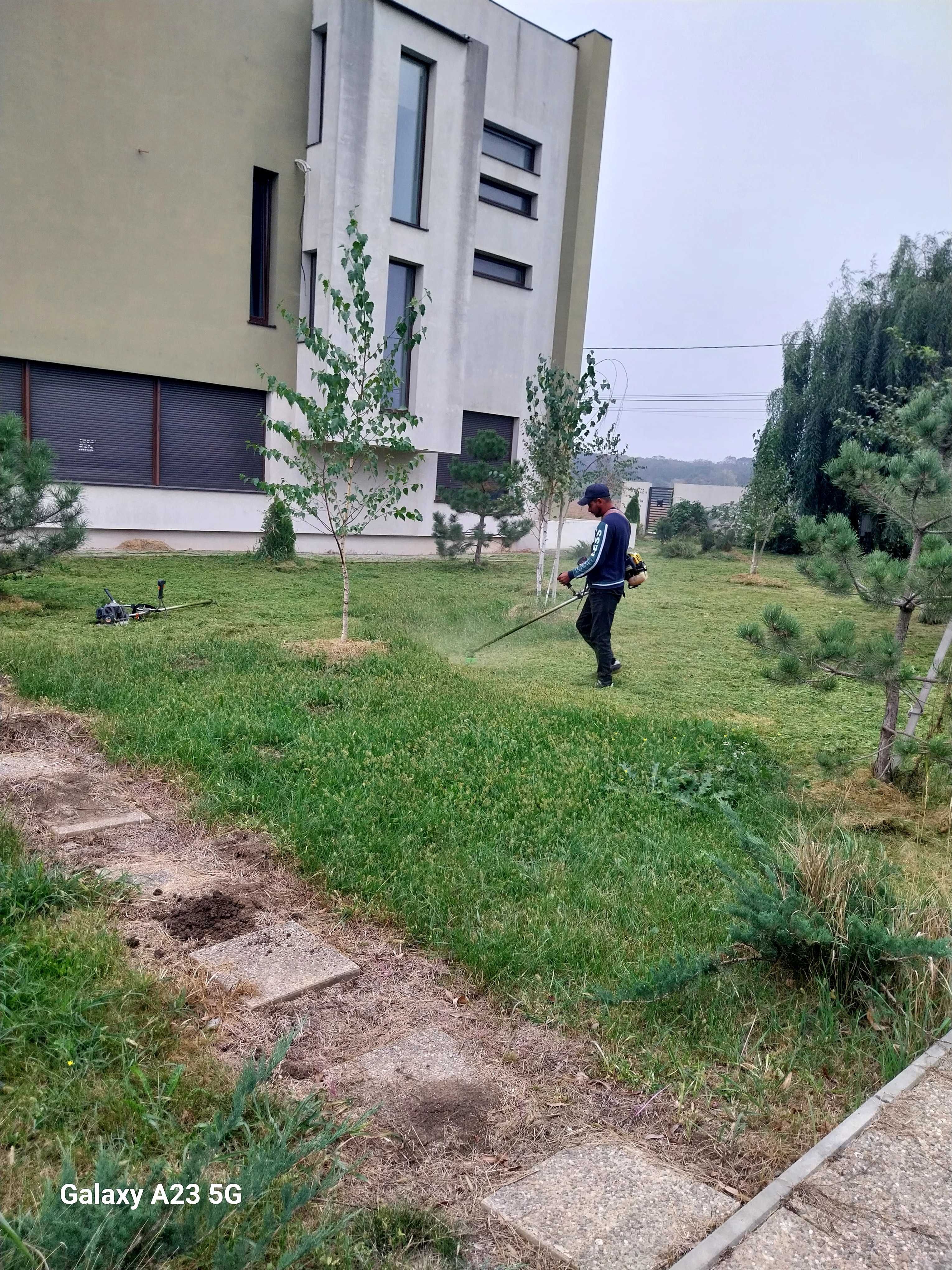 Defrișăm tundem buruieni ierbicidăm